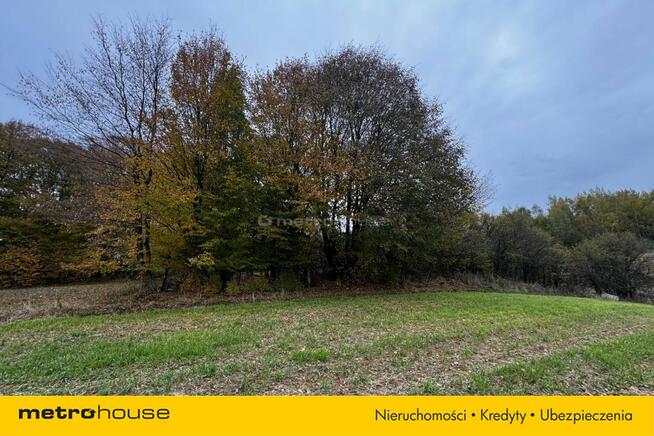 Działka rolna Rozdoły k. Sitna.