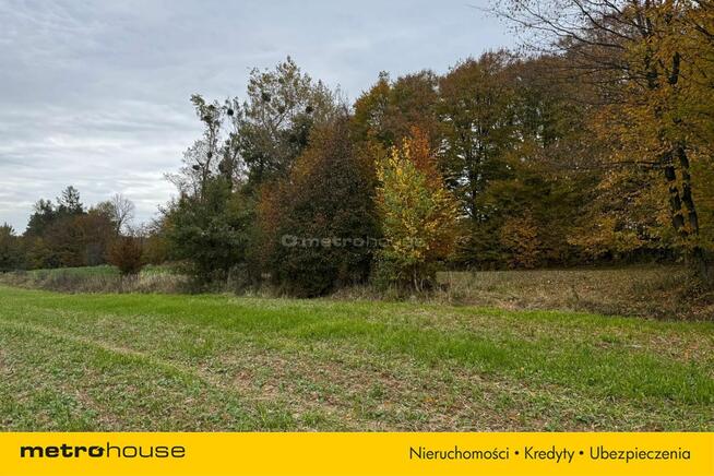 Działka rolna Rozdoły k. Sitna.