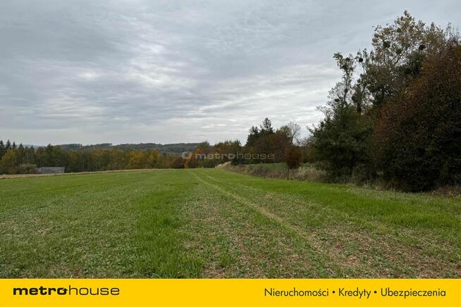 Działka rolna Rozdoły k. Sitna.