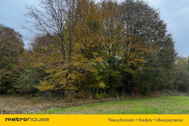 Działka rolna Rozdoły k. Sitna.