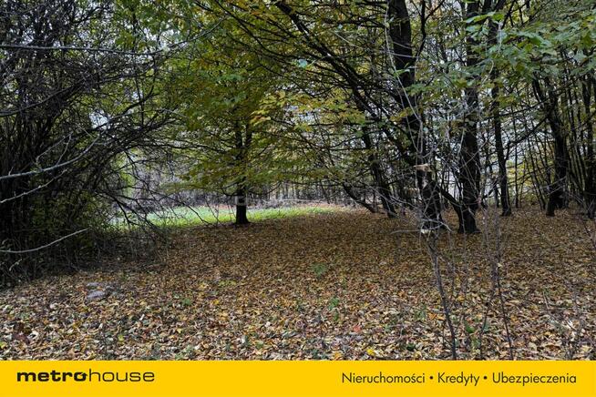 Działka rolna Rozdoły k. Sitna.