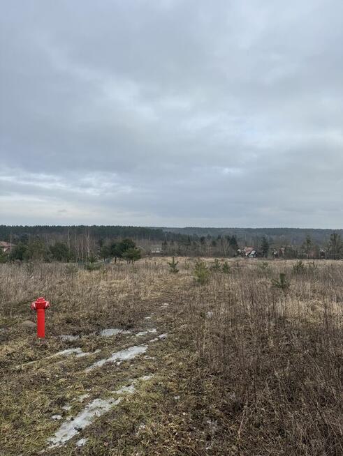 Działka Budowlana Tryszczyn