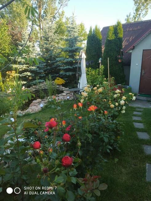 Sprzedam dom na polskiej ws