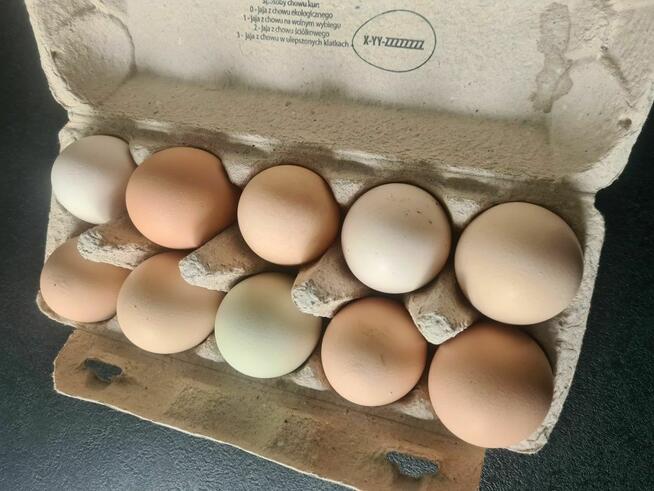 Jajka wiejskie nadwyżka zapraszam