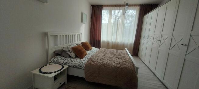 Wynajmę 2 pokoje + kuchnia + hol w Centrum Sosnowca