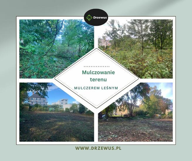 Drzewus - Usługi ogrodnicze i ziemne