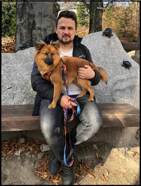 Technik informatyk szukam pracy od zaraz.