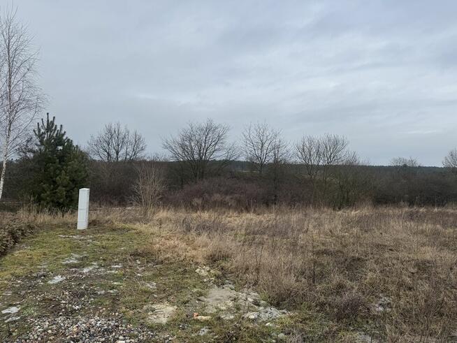 Działka Budowlana Tryszczyn