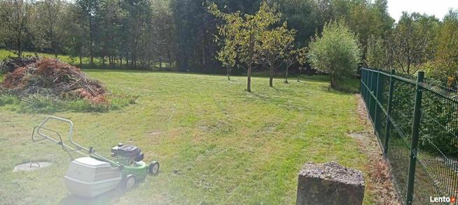 Usługi ogrodnicze Porządkowanie działek Wycinki drzew