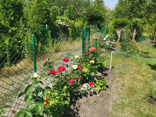 Sprzedam działkę ROD Jedność w Bydgoszczy