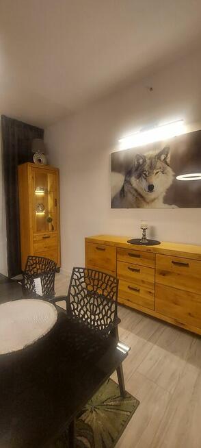 Wynajmę 2 pokoje + kuchnia + hol w Centrum Sosnowca