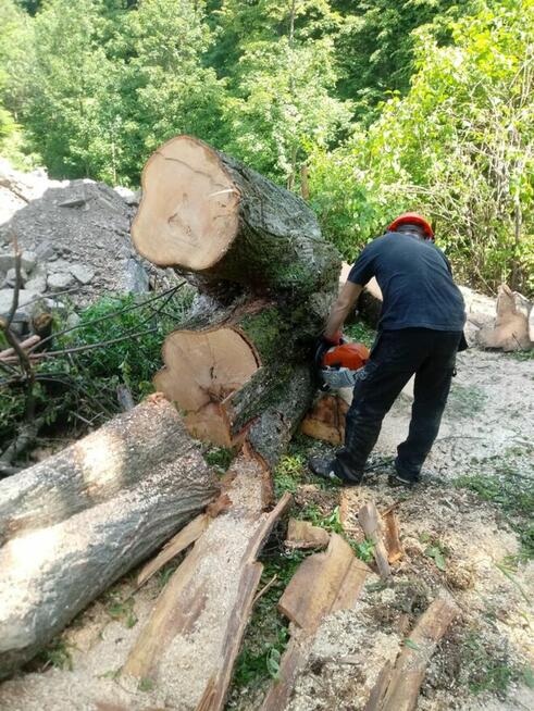 Usługi ogrodnicze Porządkowanie działek Wycinki drzew