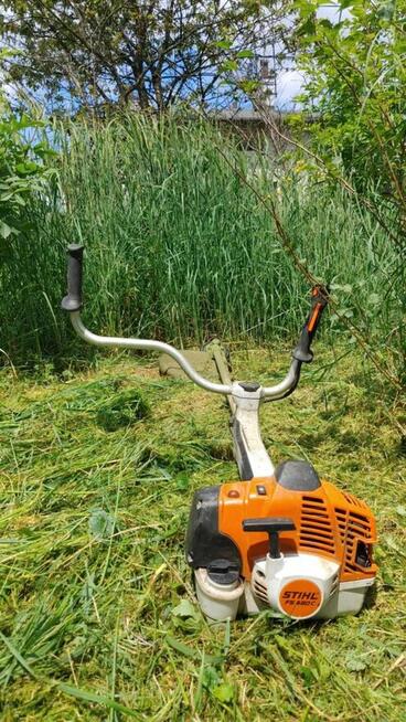 Usługi ogrodnicze Porządkowanie działek Wycinki drzew