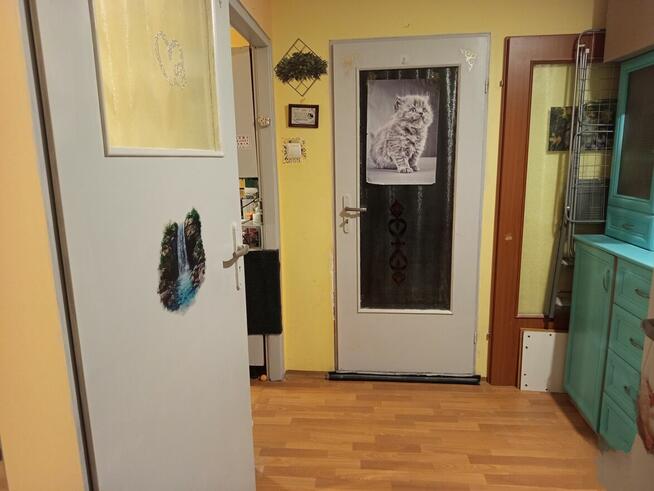 Zamienię mieszkanie komunalne