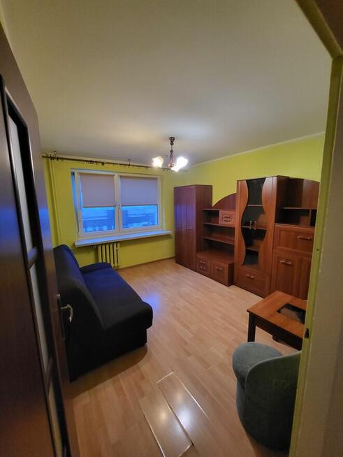 Mieszkanie do wynajecia