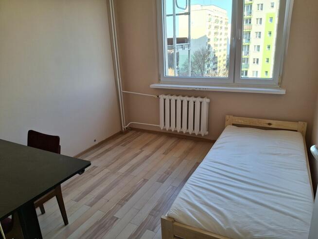 pokój do wynajecia Sosnowiec