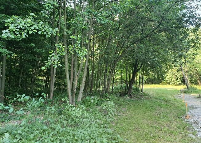Zaciszna działka z prywatnym lasem i strumykiem: https://you