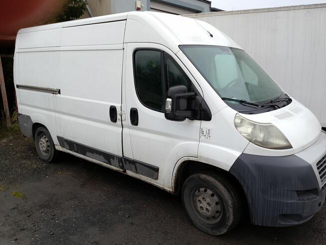 Fiat Ducato chłodnia