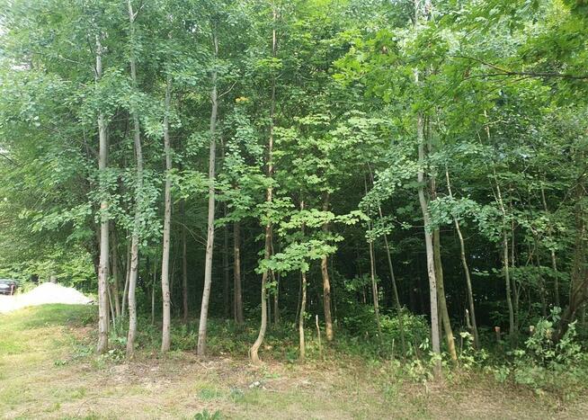 Zaciszna działka z prywatnym lasem i strumykiem: https://you