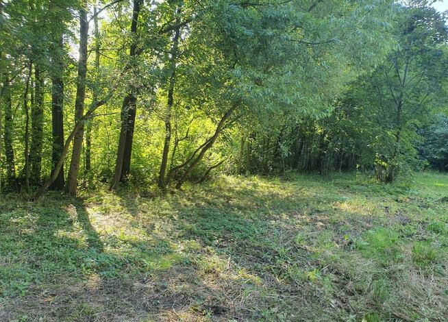 Zaciszna działka z prywatnym lasem i strumykiem: https://you