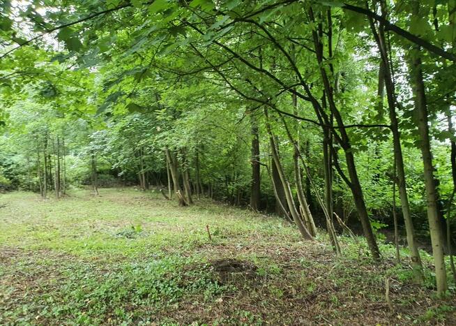 Zaciszna działka z prywatnym lasem i strumykiem: https://you