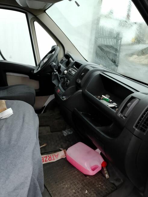 Fiat Ducato chłodnia