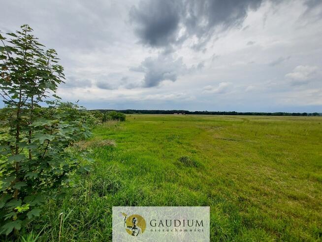 Turystyka nad brzegiem rzeki Obry