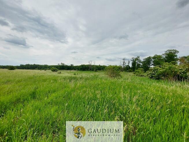 Turystyka nad brzegiem rzeki Obry