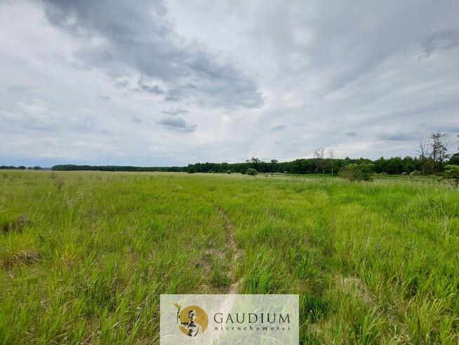 Turystyka nad brzegiem rzeki Obry