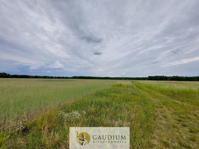 Turystyka nad brzegiem rzeki Obry