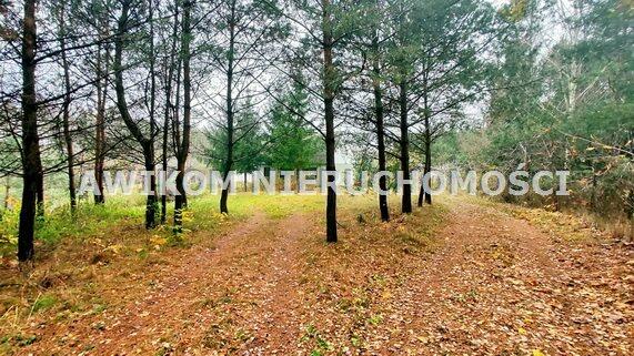 Dom Brodnica Niewierz