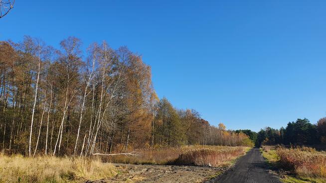 Działka budowlana Duchnów gm. Wiązowna