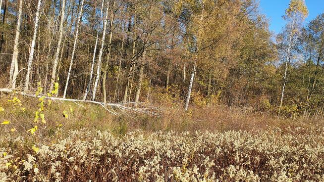 Działka budowlana Duchnów gm. Wiązowna
