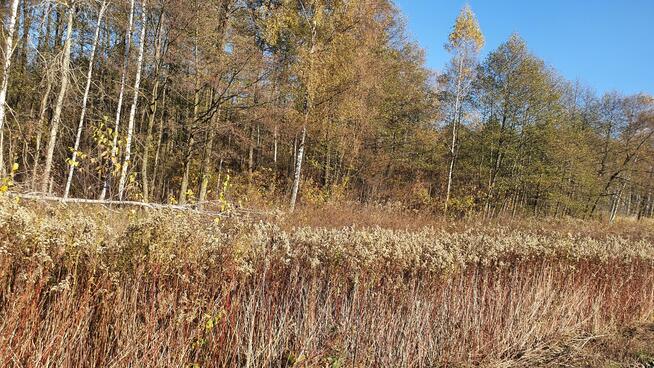 Działka budowlana Duchnów gm. Wiązowna