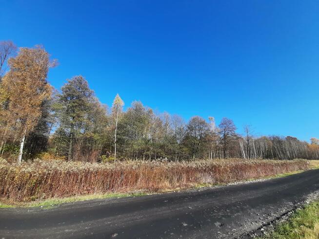Działka budowlana Duchnów gm. Wiązowna