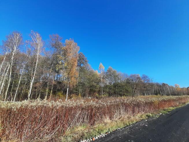 Działka budowlana Duchnów gm. Wiązowna