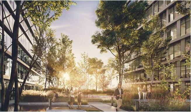 OFERTA DEWELOPERSKA, inwestycja w CENTRUM miasta