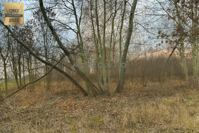 Działka inwestycyjna Piorunów gm. Błonie,