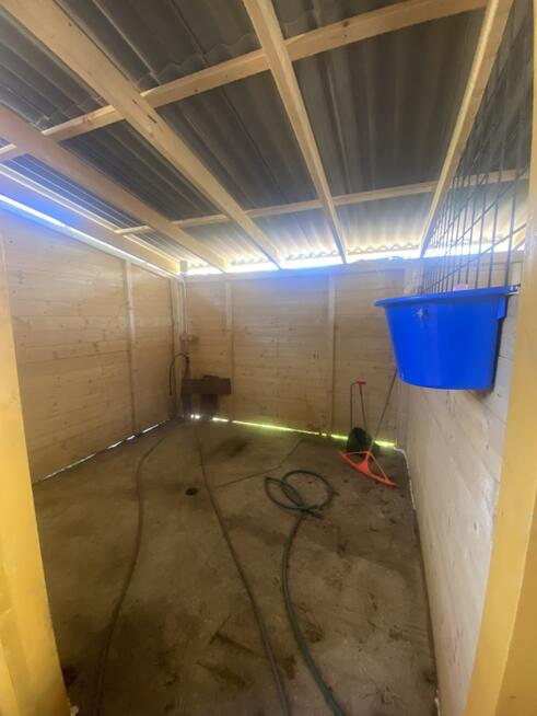 Stajnia/Siedlisko-rekreacja, edukacja jazdy konnej