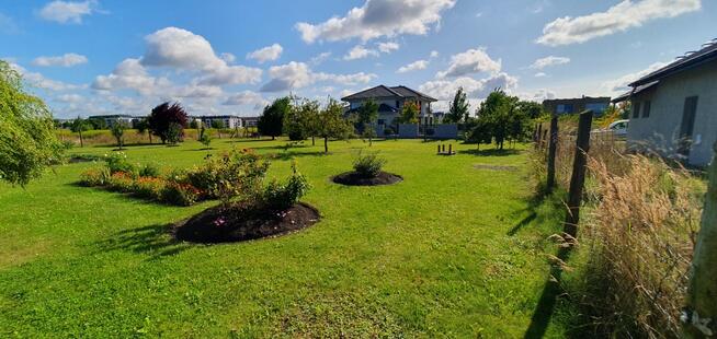 Wrocław Jagodno 1500 m Sarnia Jareckiego