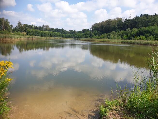 PTAKOWICE usługi sportu