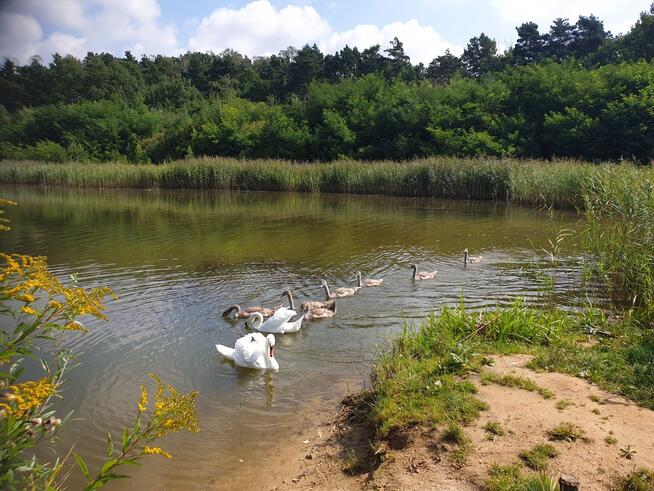 PTAKOWICE usługi sportu