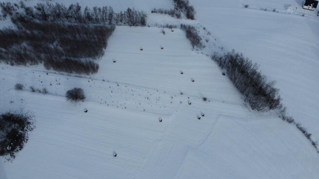 Działka Skrzętla-Rojówka gm. Łososina Dolna