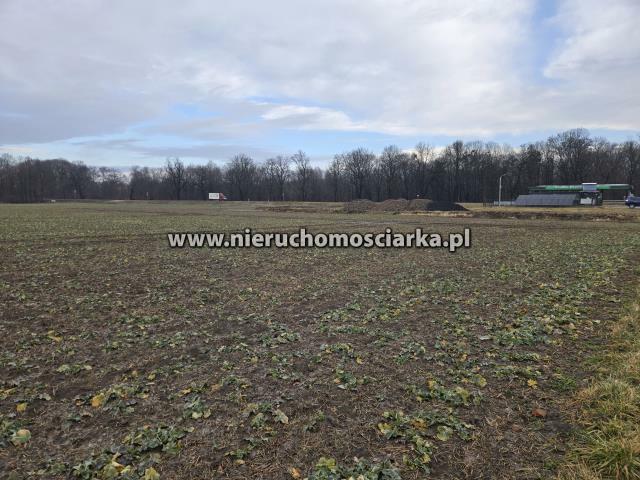 Działka przemysłowa Gorzyce