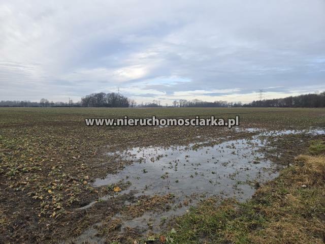 Działka przemysłowa Gorzyce