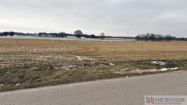 Trzy działki budowlane – ul. Ogrodowa, Wiśniew