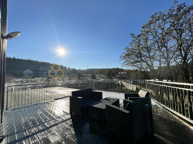 Lokal użytkowy Boszkowo-Letnisko gm. Włoszakowice, Dominicka