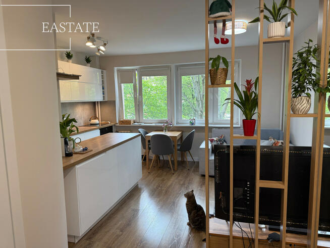 Mieszkanie Warszawa gm. Mokotów Mokotów, Domaniewska