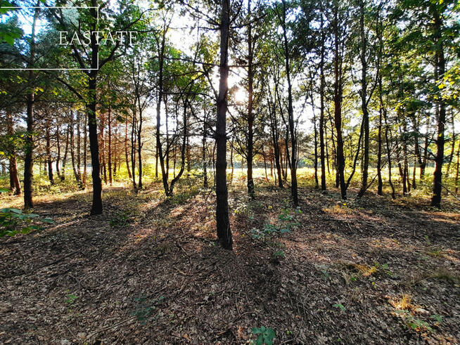 Działka inwestycyjna Sulejówek, Świętojańska