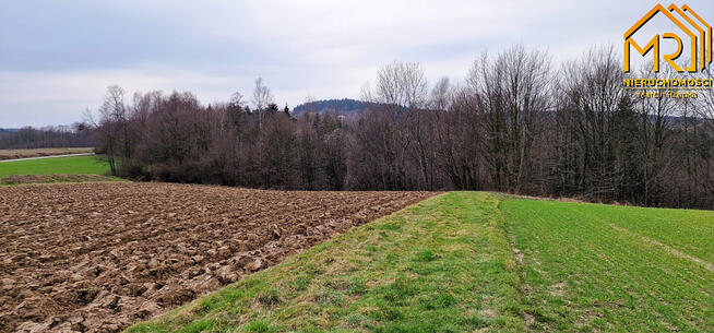 Działka rolna Brzozowa gm. Gromnik